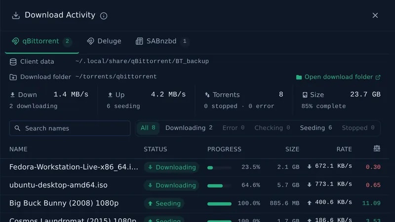 Download Activity for torrent and NZB clients: speeds, progress and per-torrent rates