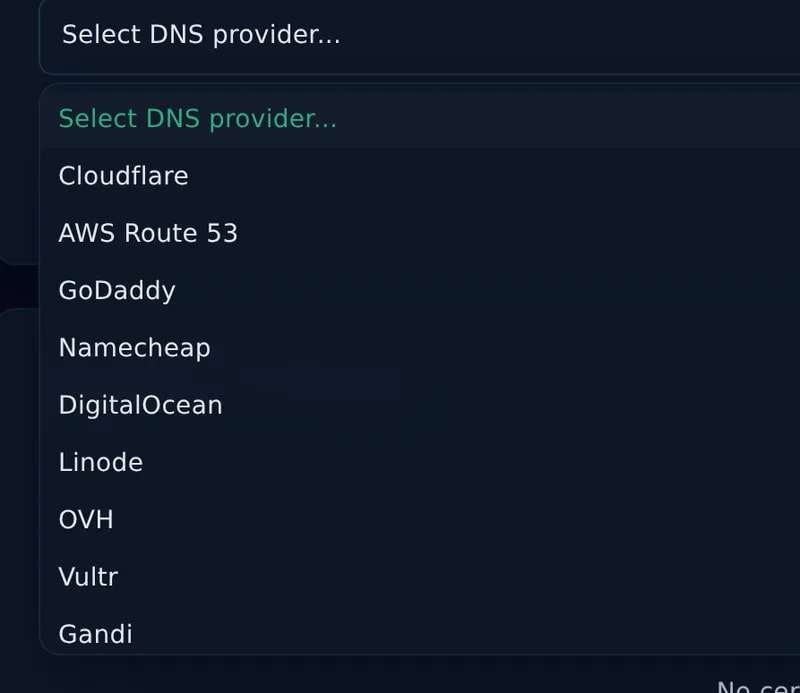 DNS provider list for a Let's Encrypt certificate: Cloudflare, AWS Route 53, GoDaddy, Namecheap, DigitalOcean and more