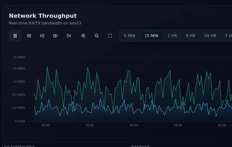 Network Throughput chart: real-time RX and TX bandwidth with 5 minute to 30 day ranges