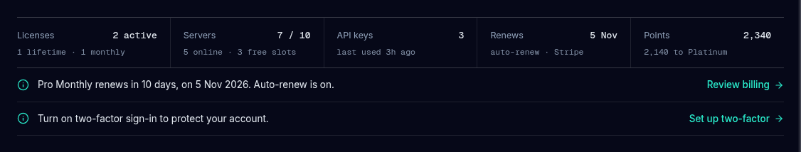 The status band with five readouts side by side: Licenses, Servers, API keys, Renews and Points, each with a value and a small detail line beneath, and two Needs attention lines under it.